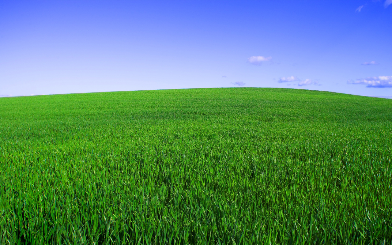 горизонт, зелёный, трава, небо, поле