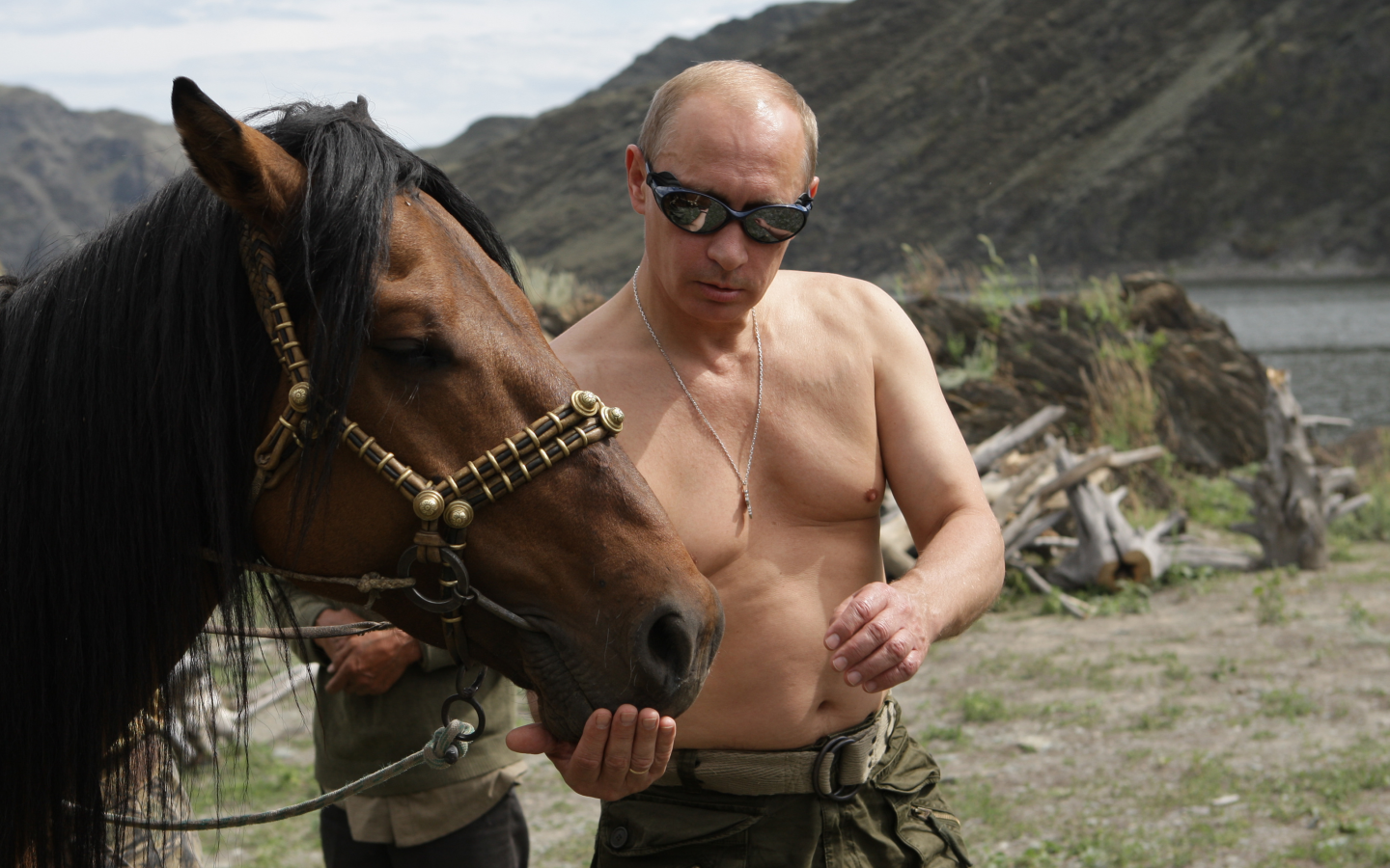 путин, горы, владимир путин, обои, премьер-министр россии, природа, лошадь, президент россии