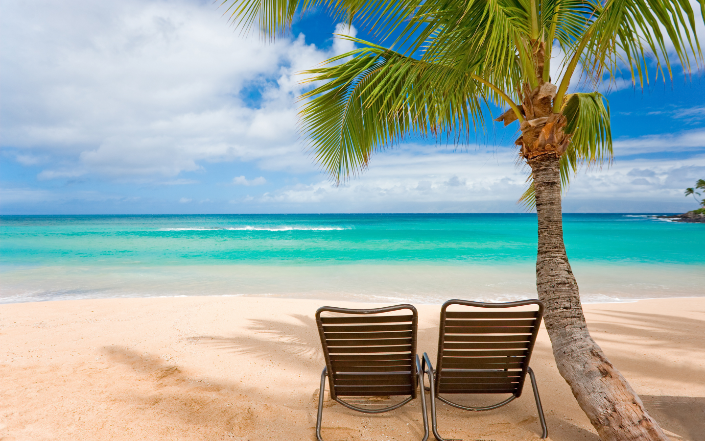 берег, фото, пальмы, шезлонги, стулья, острова, отдых, волны, деревья, море, пляж, пейзажи, настроение, океан, вода, жара, кресла, лето