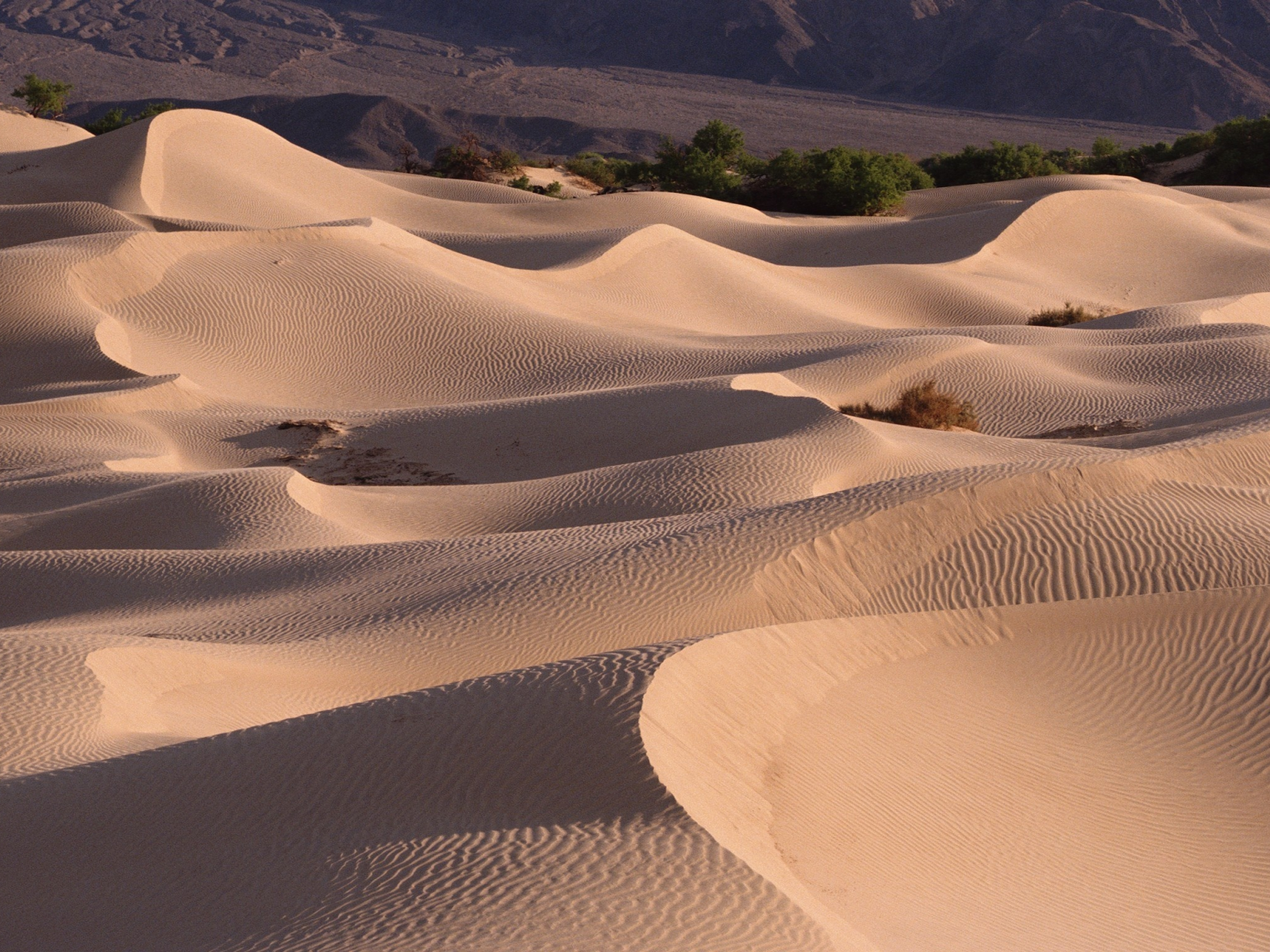 барханы, песок, пустыня