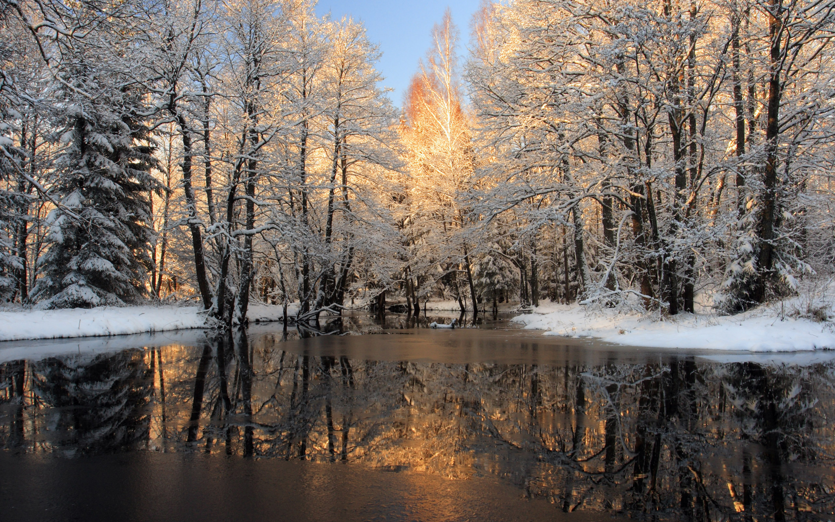 льда, река, корка, лес, зима, снег