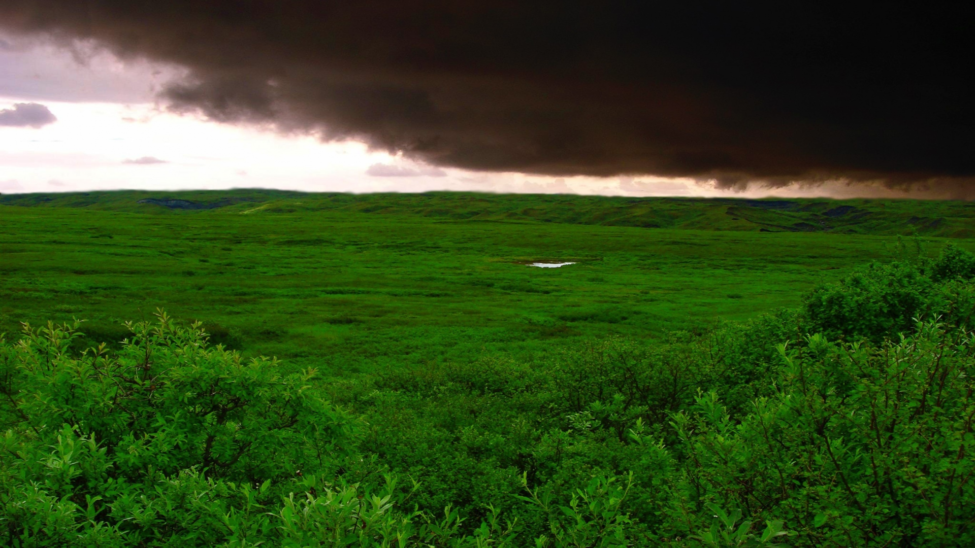 поле, облака, трава, зеленый, буря