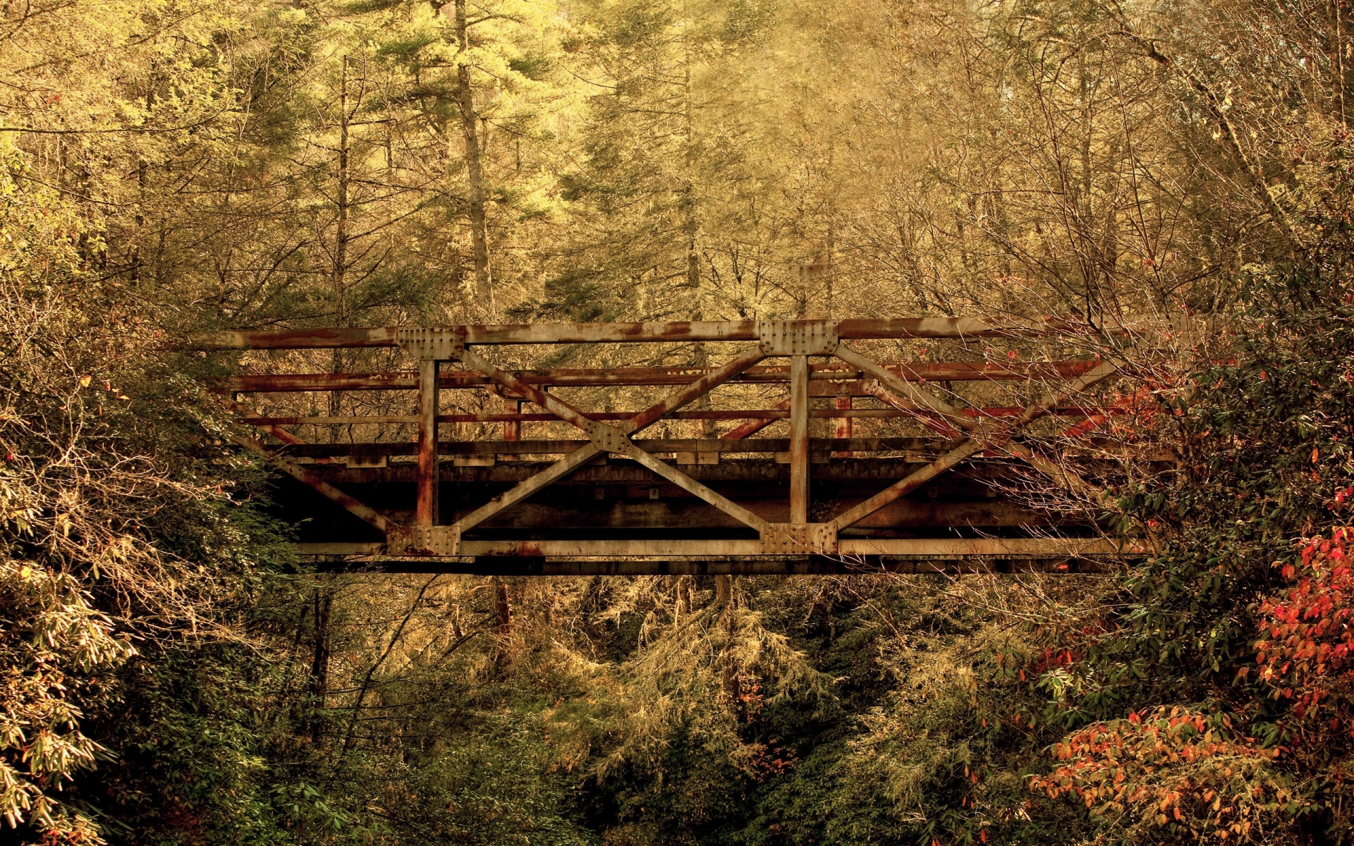 лес, южная каролина, мост, осень, листья