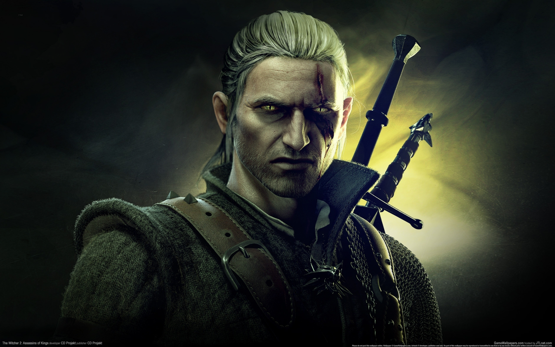 The Witcher 2: Assassins of Kings, игра, pc games, видео игры, компьютерные игры, game