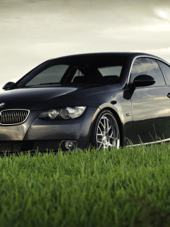 машины, авто, bmw, трава, 335i coupe, купе, автомобили, небо, фокус, бмв, машины