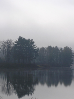 туман, озеро, лес