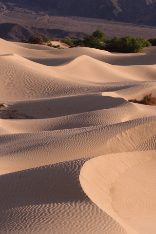 барханы, песок, пустыня
