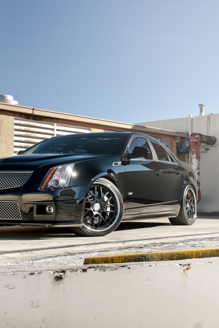 авто, автомобили, CTS-V, Forged, 360, машины