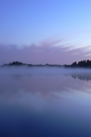 деревья, озеро, отражение, туман