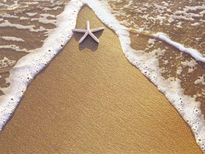 берег, песок, вода, звезда