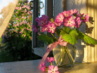 окно, ваза, цветы, лето, занавеска