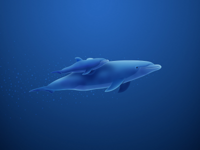 дельфин, пузыри, синий