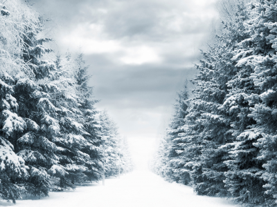 фонари, зима, деревья, дорога, снег