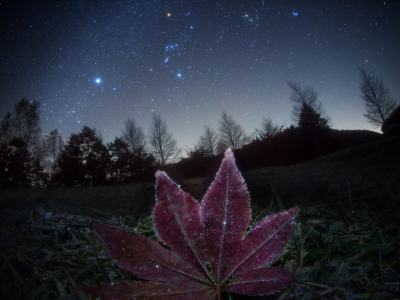небо, звезды, природа, masahiro miyasaka, юпитер