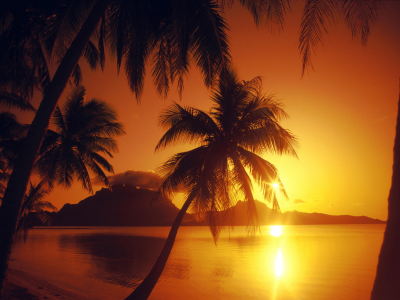остров, утро, море, солнце, пальмы