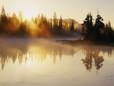 утро, рассвет, туман, лес, вода, озеро