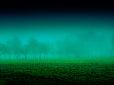 деревья, парк, туман, трава, вечер, люди