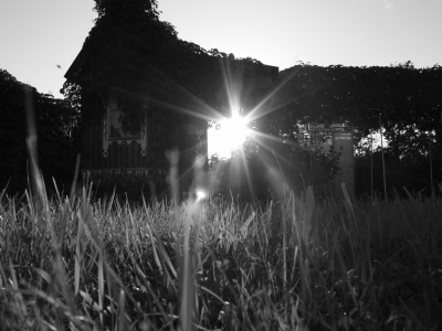 солнце, дом, трава