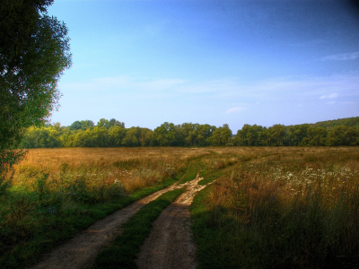 пейзаж, дорога