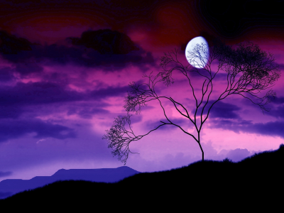 ночь, дерево, луна, ветки