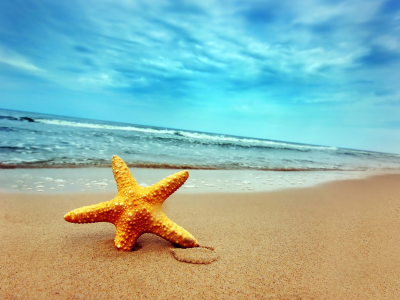 звезда, берег, волны, песок