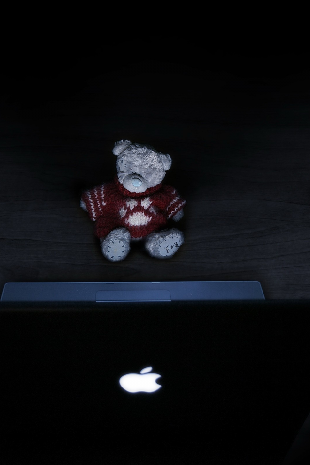 игрушка, медведь, свет, ноутбук