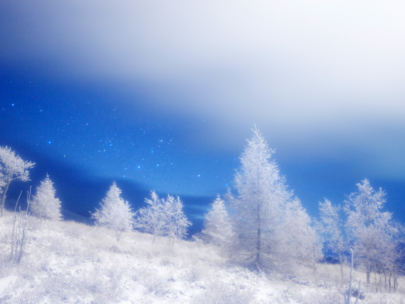 зима, природа, masahiro miyasaka, снег, ночь