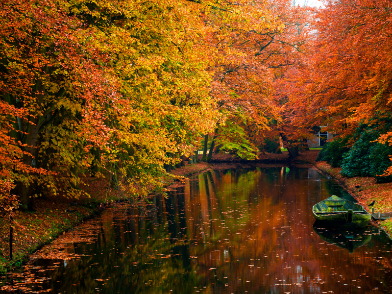 романтика, фото, осень, лодка, деревья, красота, вода