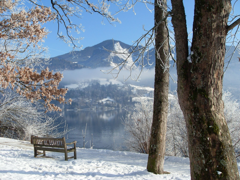 река, скамейка, деревья, зима