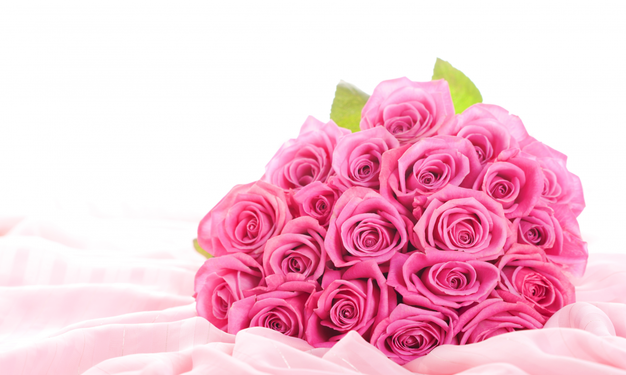 Цветы, розы, букет, розовые розы, розовые цветы