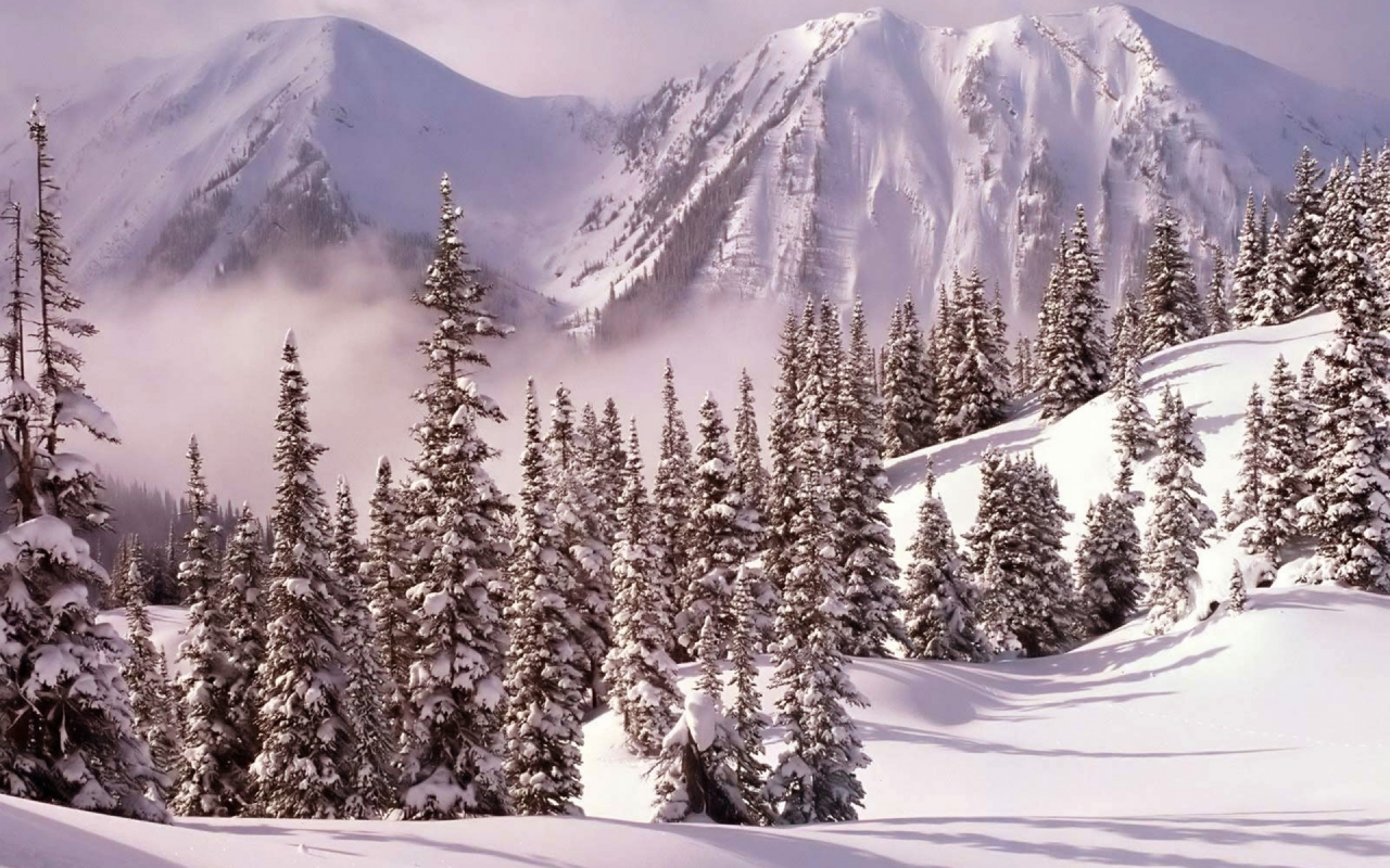 Зима, горы, снег, деревья, елки
