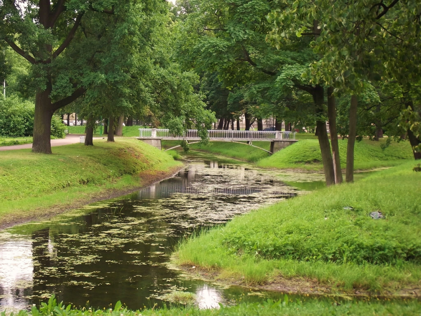 таврический сад, Петербург, пейзажи