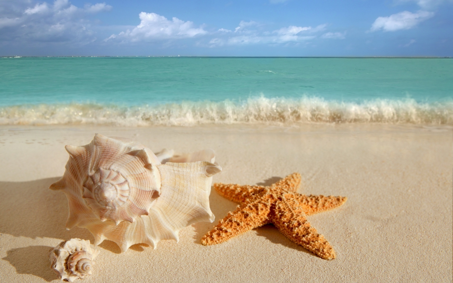 океан, вода, Ракушки, море, волны, песок, морская звезда