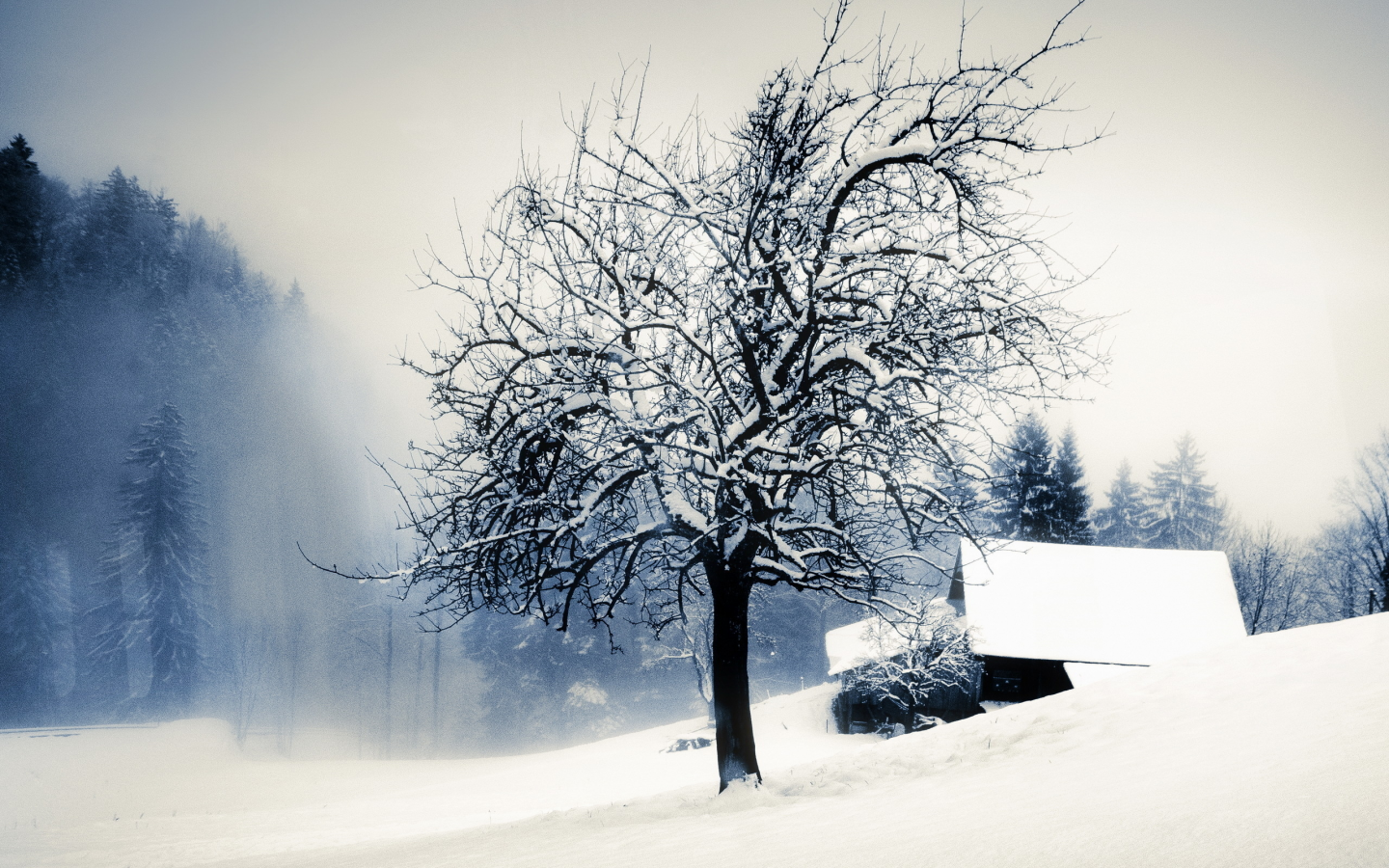 Зима, дом, снег, дерево