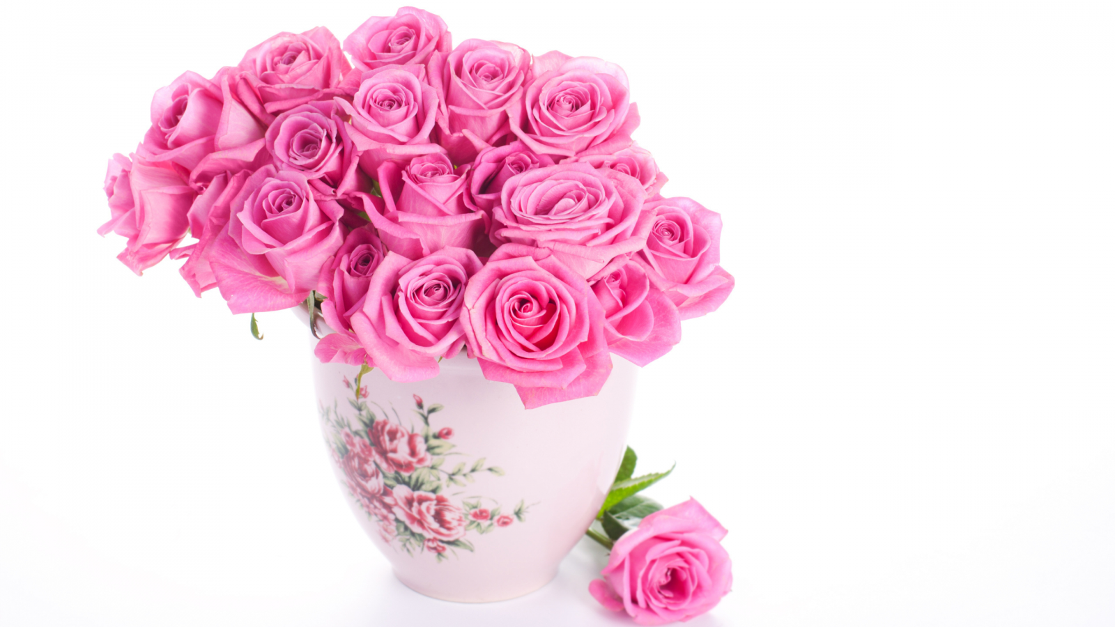 ваза, белый фон, розовые, Розы