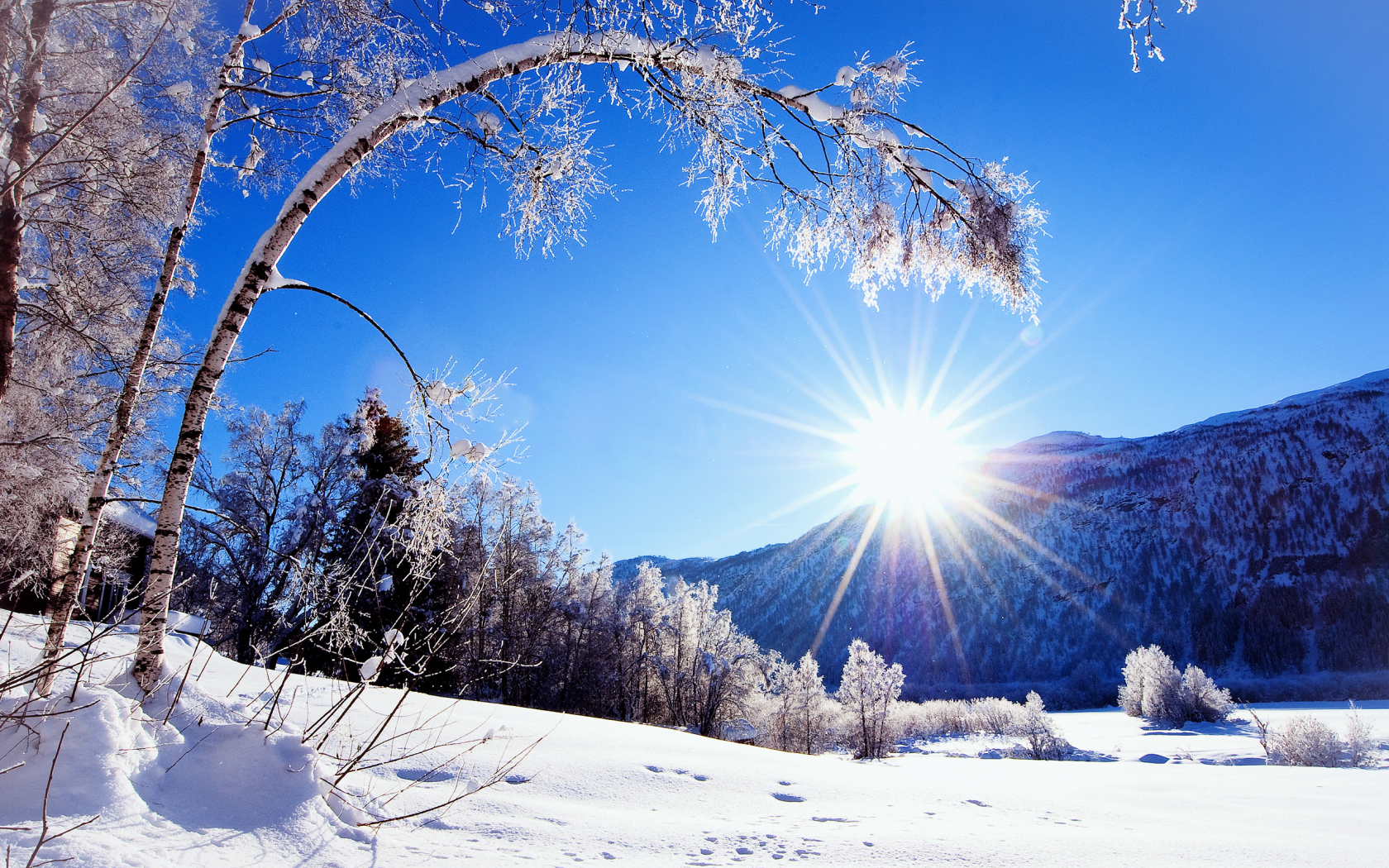 дерево, Природа, снег, зима, горы, солнце