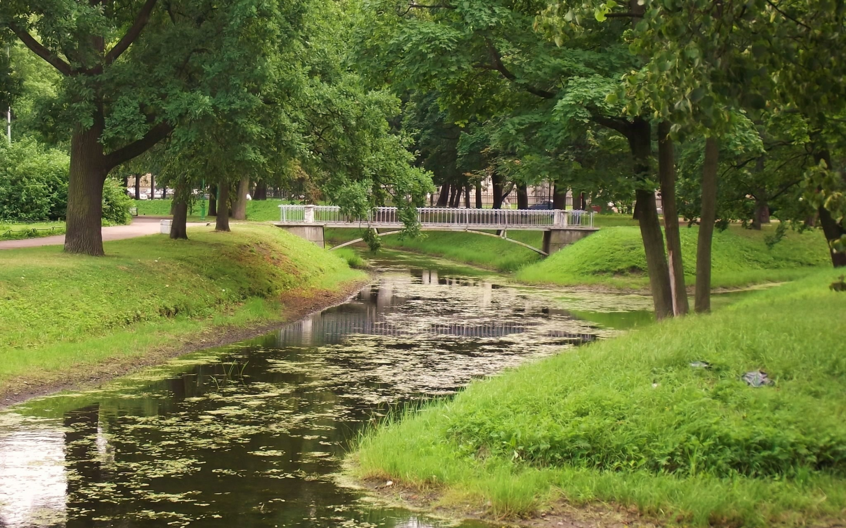 таврический сад, Петербург, пейзажи