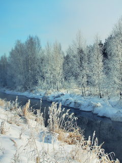 река, снег, Зима