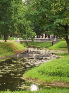 таврический сад, Петербург, пейзажи