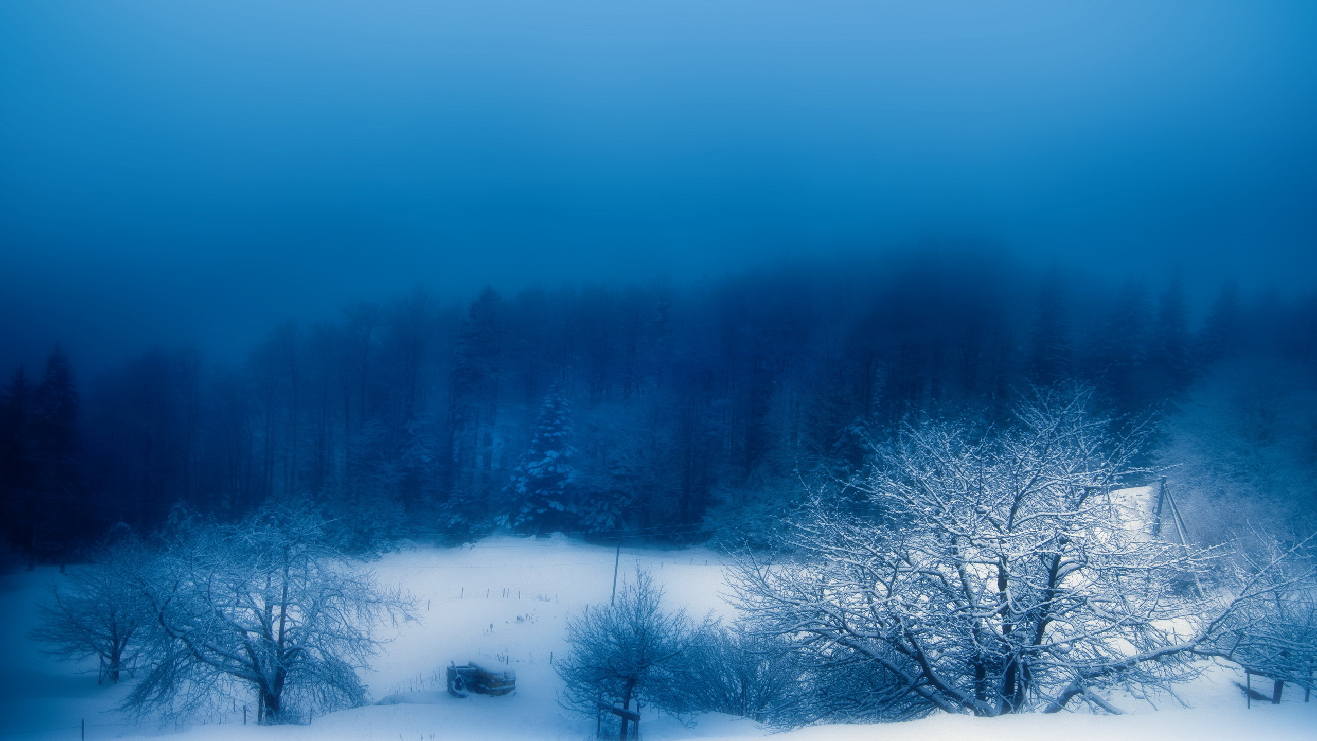 снег, туман, вечер, природа, Зима
