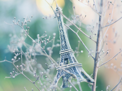эйфелева башня, ветки, Paris