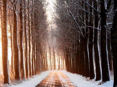 дорога, Зима, пейзаж, деревья
