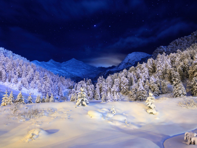 елки, горы, небо, снег, деревья, синее, ночь, Зима