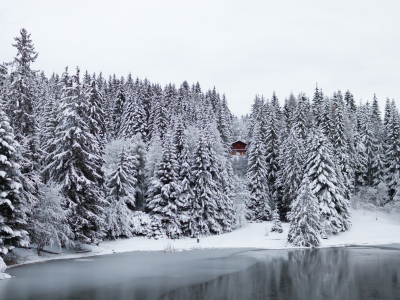 озеро, снег, зима, лес, домик, Швейцария, деревья