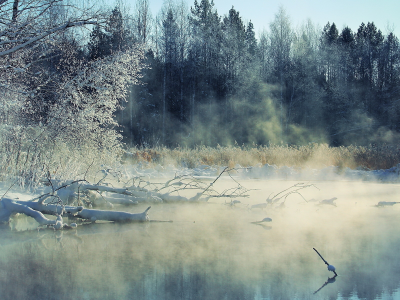 река, Зима, пейзаж, туман