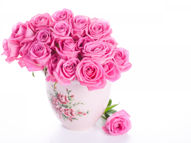 ваза, белый фон, розовые, Розы