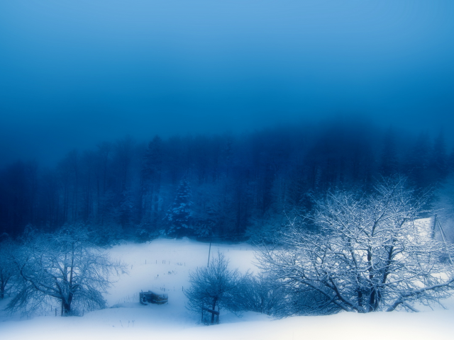 снег, туман, вечер, природа, Зима
