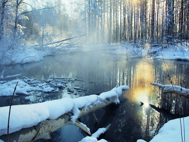 Зима, лес, природа, снег, река