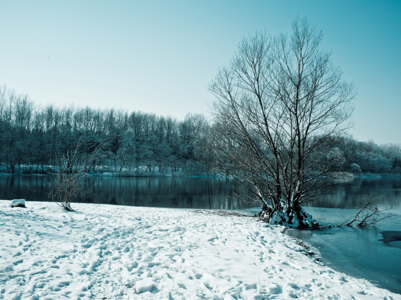 озеро, Зима, снег, деревья