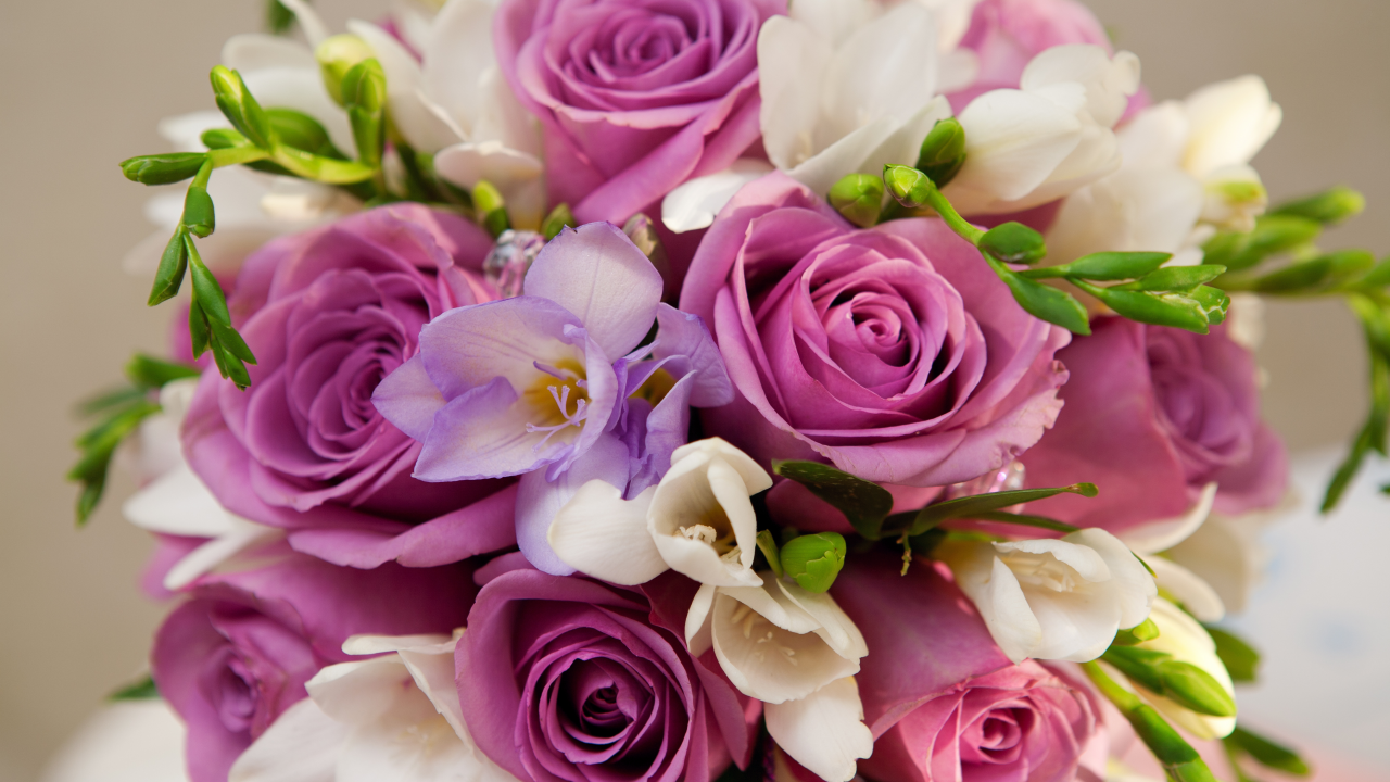 bouquet , violet flowers , иолетовые цветы, roses